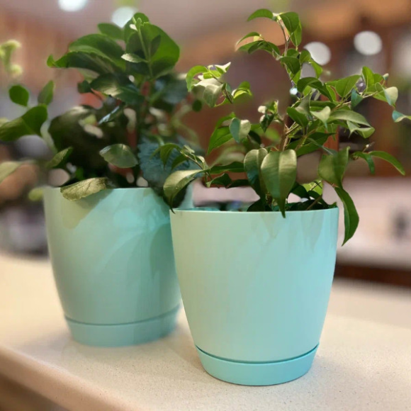 Горшок Камея 1,4лит Мята с поддоном (D-138мм)