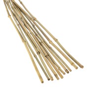 Бамбуковая опора 150см Бамбуковая опора 150см