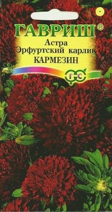 Цветы Астра Эрфуртский карлик Кармезин ЦВ/П (ГАВРИШ) 0,3гр однолетник до 30см