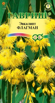 Цветы Эвкалипт Флагман ЦВ/П (ГАВРИШ) 0,05гр комнатное 1,5 м Цветы Эвкалипт Флагман ЦВ/П (ГАВРИШ) 0,05гр комнатное 1,5 м