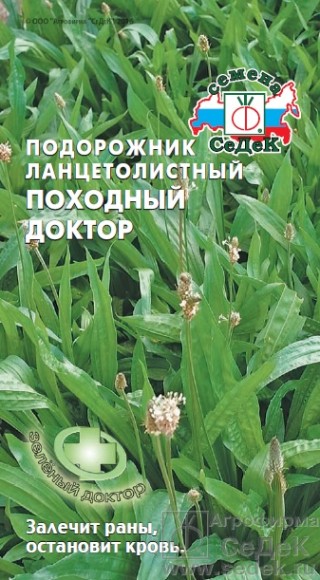 Пряность Подорожник Походный доктор ланцетолистный ЦВ/П (СЕДЕК) 0,2гр многолетник