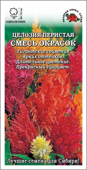 Цветы Целозия перистая Смесь Окрасок ЦВ/П (СОТКА) 0,3 однолетник 50-70см
