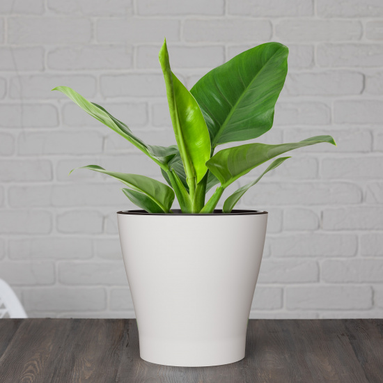 Горшок Лея 3,6лит Белый (с дренажной системой) Горшок Лея 3,6лит Белый (с дренажной системой)