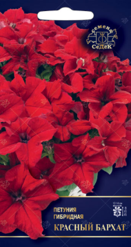 Цветы Петуния Красный бархат F1 ЦВ/П (СЕДЕК) 5шт однолетник 20-25см