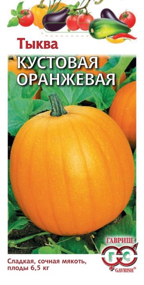 Тыква Кустовая Оранжевая ЦВ/П (ГАВРИШ) 1гр среднеспелый