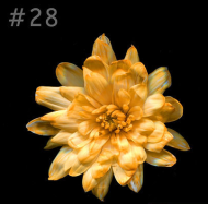 Краска для срезанных цветов 1лит Оранжевая №-28