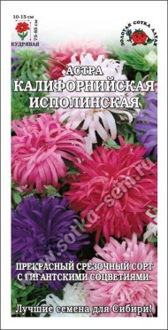 Цветы Астра Калифорнийская исполинская Смесь ЦВ/П (СОТКА) 0,2гр однолетник 75-85см