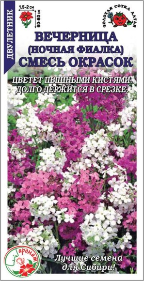 Цветы Вечерница Ночная фиалка Смесь ЦВ/П (СОТКА) 0,5гр двулетник до 80см