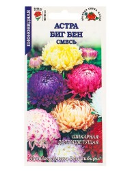 Цветы Астра Биг Бен Смесь ЦВ/П (СОТКА) 0,2гр однолетник до 65см