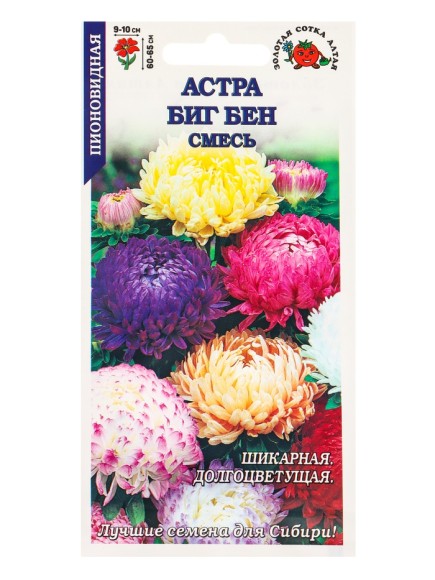 Цветы Астра Биг Бен Смесь ЦВ/П (СОТКА) 0,2гр однолетник до 65см
