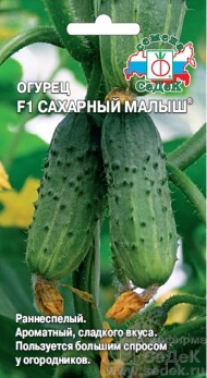 Огурец Сахарный малыш ЦВ/П (СЕДЕК) 0,2гр раннеспелый партенокарпический