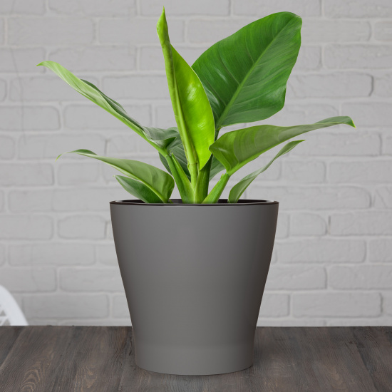 Горшок Лея 5лит Серый (с дренажной системой) Горшок Лея 5лит Серый (с дренажной системой)