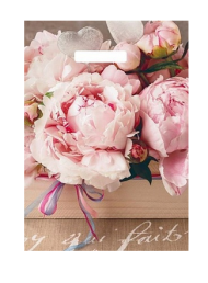 Сумочка пакет п/э 300*400мм Бенефис Арт-ВУР49406