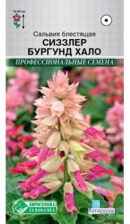 Цветы Сальвия Сиззлер бургунд хало ЦВ/П (ЕС) 0,05гр однолетник 15-20см