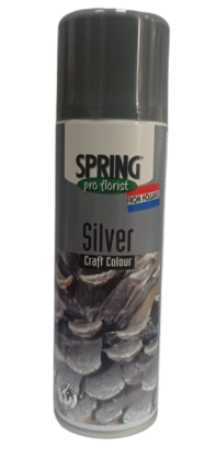 Спрей - краска для срезочных цветов Серебро Spring 300мл