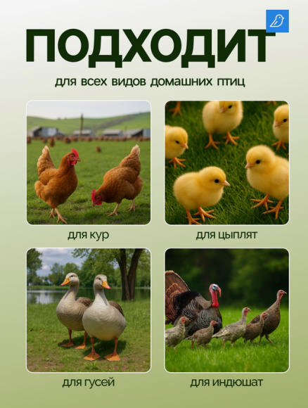 Кормушка Бункерная подвесная 5кг корма Арт-7709679 Кормушка Бункерная подвесная 5кг корма Арт-7709679