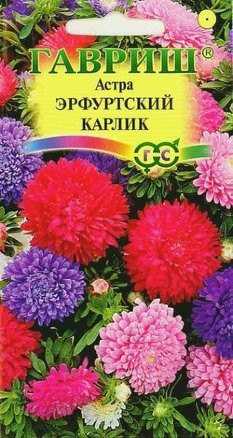 Цветы Астра Эрфуртский карлик Смесь ЦВ/П (ГАВРИШ) 0,3гр однолетник до 30см