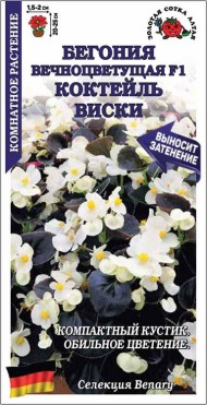 Цветы Бегония вечноцветущая F1 Виски ЦВ/П (СОТКА) 5шт комнатное 15-20см Цветы Бегония вечноцветущая F1 Виски ЦВ/П (СОТКА) 5шт комнатное 15-20см