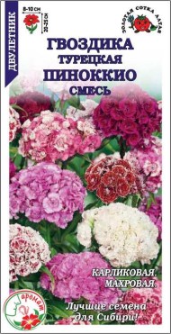 Цветы Гвоздика турецкая Пиноккио Смесь ЦВ/П (СОТКА) 0,2гр двулетник 20см Цветы Гвоздика турецкая Пиноккио Смесь ЦВ/П (СОТКА) 0,2гр двулетник 20см