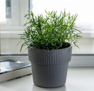 Горшок Алемар 2,4лит Серый (с дренажной системой)