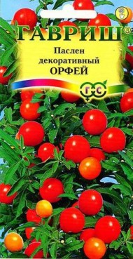 Цветы Паслён декорат Орфей ЦВ/П (ГАВРИШ) 12шт комнатное Цветы Паслён декорат Орфей ЦВ/П (ГАВРИШ) 12шт комнатное