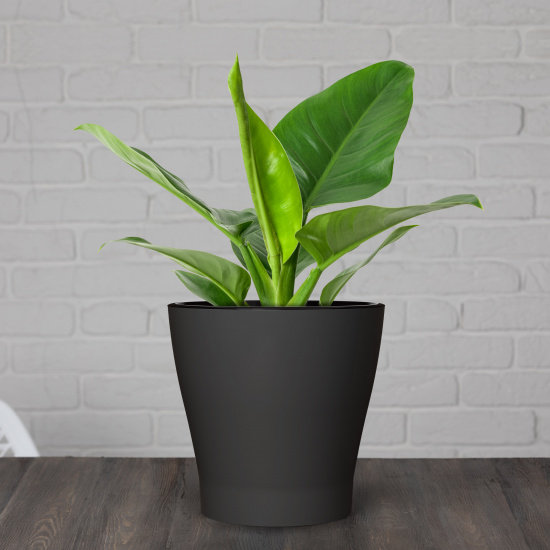 Горшок Лея 3,6лит Графитовый (с дренажной системой) Горшок Лея 3,6лит Графитовый (с дренажной системой)