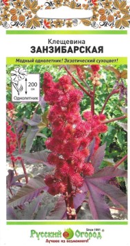 Цветы Клещевина Занзибарская ЦВ/П (НК) 5шт однолетник до 2м