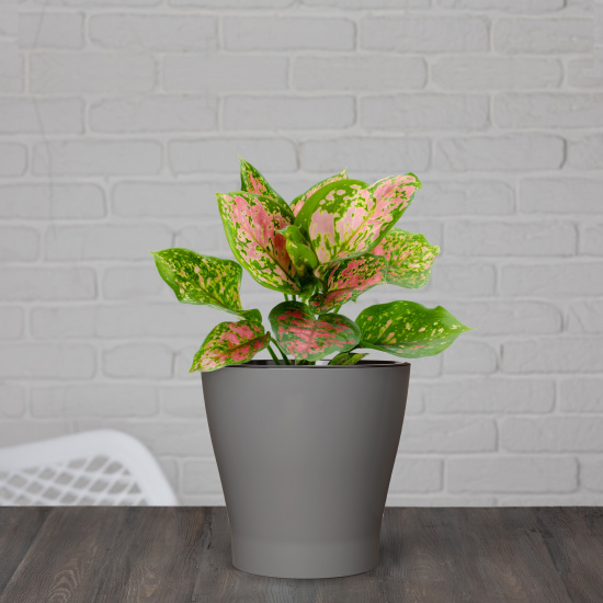 Горшок Лея 2,2лит Серый (с дренажной системой)