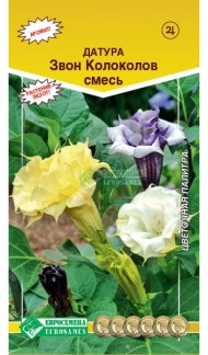 Цветы Датура (Дурман) Звон колоколов ЦВ/П (ЕС) 3шт однолетник 60см