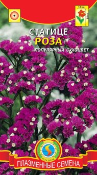 Цветы Статице Роза ЦВ/П (ПЛАЗМА) 0,05гр сухоцвет однолетник до 80см
