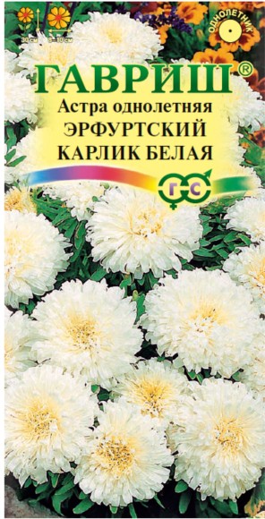 Цветы Астра Эрфуртский карлик Белая ЦВ/П (ГАВРИШ) 0,3гр однолетник до 30см