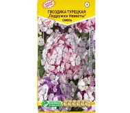 Цветы Гвоздика турецкая Подружки Невесты Смесь ЦВ/П (ЕС) 0,05гр двулетник 40-50см Цветы Гвоздика турецкая Подружки Невесты Смесь ЦВ/П (ЕС) 0,05гр двулетник 40-50см