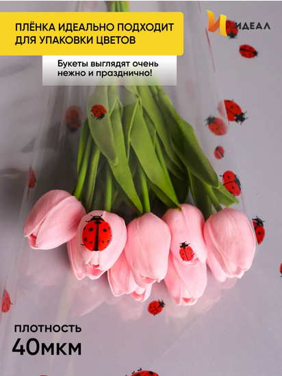 Пленка прозрачная с рисунком Божьи коровки 70см/8м Пленка прозрачная с рисунком Божьи коровки 70см/8м