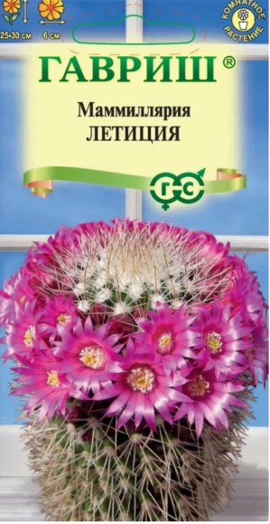 Цветы Маммиллярия Летиция ЦВ/П (ГАВРИШ) 2шт комнатное кактус 25-30см