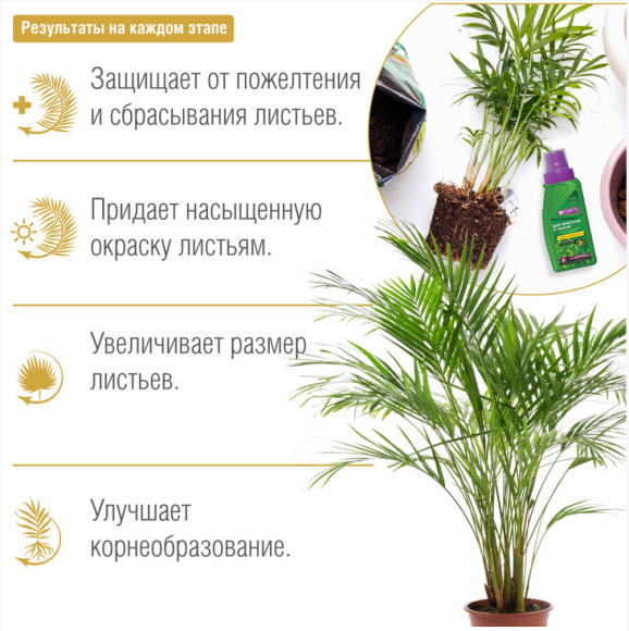 Удобрение Бона Форте Здоровье Фикусов и Пальм 285мл (1уп/20шт) min 3шт Удобрение Бона Форте Здоровье Фикусов и Пальм 285мл (1уп/20шт) min 3шт