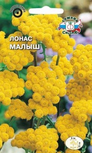 Цветы Лонас Малыш жёлтый ЦВ/П (СЕДЕК) 0,05 однолетник 20см
