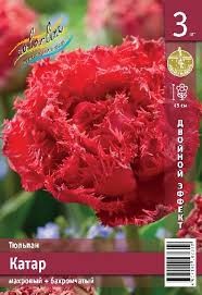 Тюльпан Катар (1уп/7шт)