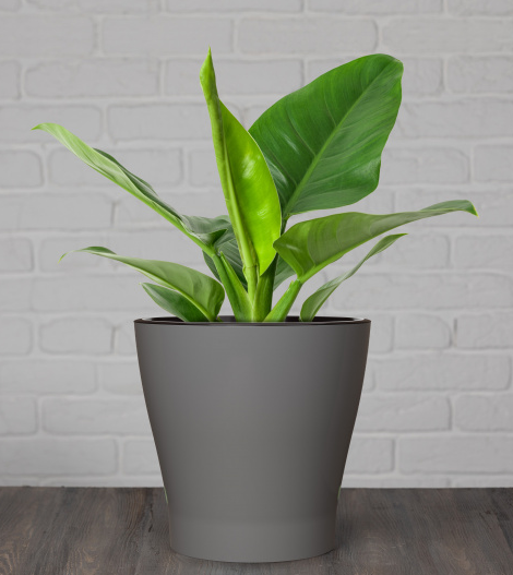 Горшок Лея 3,6лит Серый (с дренажной системой)