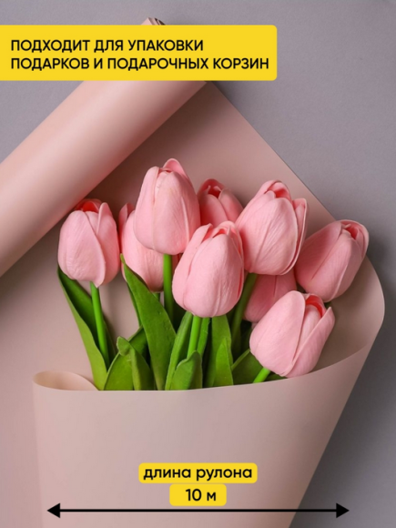 Пленка матовая однотонная Идеал Пудра 60см/10м