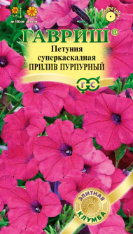 Цветы Петуния Минитуния Прилив Пурпурный F1 ЦВ/П (ГАВРИШ) 4шт однолетник до 1,5м
