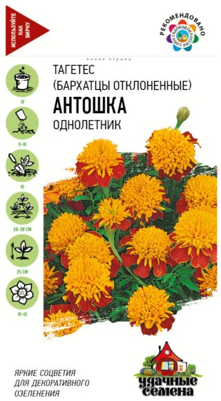 Цветы Бархатцы Антошка ЦВ/П (ГАВРИШ) серия УДС 0,3гр однолетник отклоненные 25см