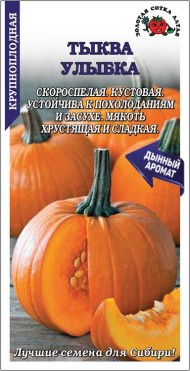 Тыква Улыбка ЦВ/П (СОТКА) 2гр скороспелый