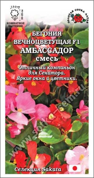 Цветы Бегония Амбассадор Смесь F1 ЦВ/П (СОТКА) 5шт комнатное 20-25см