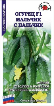 Огурец Мальчик с пальчик F1 ЦВ/П (СОТКА) 0,15гр скороспелый партенокарпический