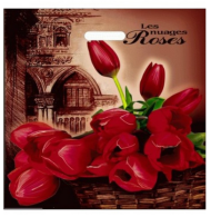 Сумочка пакет п/э 440*440мм Голландия Арт-2739