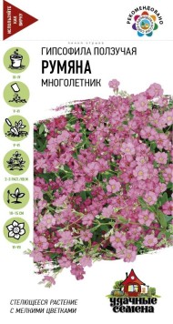 Цветы Гипсофила Румяна ЦВ/П (ГАВРИШ) серия УДС 0,05гр многолетник сухоцвет 10-15см