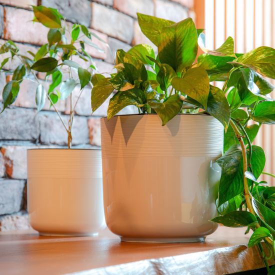 Горшок Линель 2,7лит Белый (с дренажной системой) Горшок Линель 2,7лит Белый (с дренажной системой)