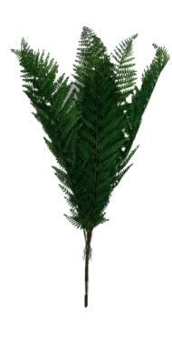 Папоротник для горшка №1 9 веток 95см