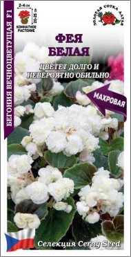Цветы Бегония вечноцветущая F1 Фея Белая ЦВ/П (СОТКА) 5шт комнатное 20-25см