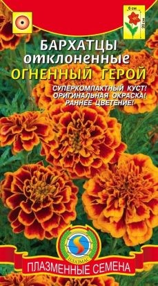 Цветы Бархатцы Огненый Герой ЦВ/П (ПЛАЗМА) 15шт однолетник 20см